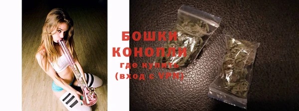 мдпв Михайлов