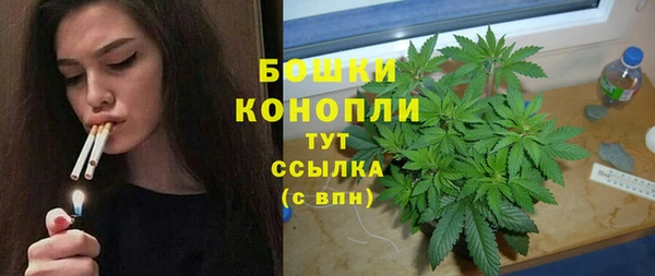 сатива Михайловск