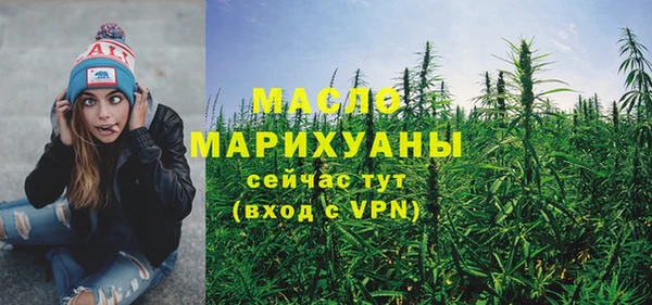 мдпв Михайлов