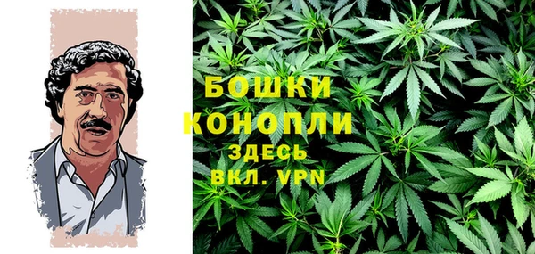 мдпв Михайлов